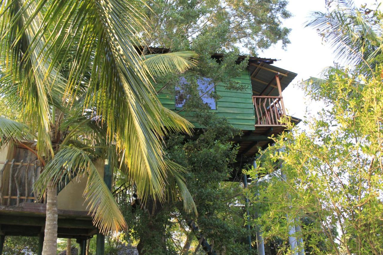 מלון טיסמהרמה Yala Eco Tree House New מראה חיצוני תמונה