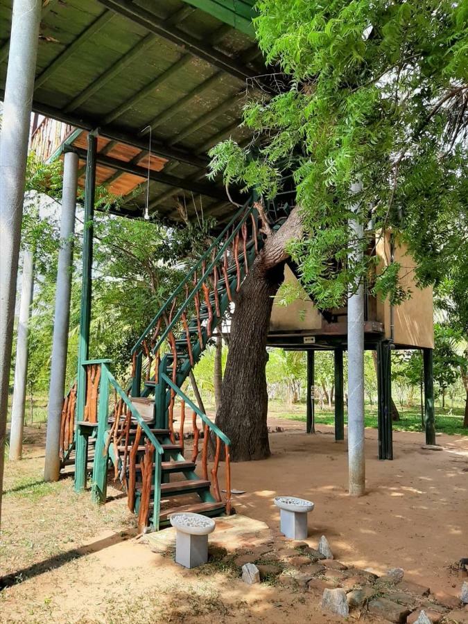 מלון טיסמהרמה Yala Eco Tree House New מראה חיצוני תמונה